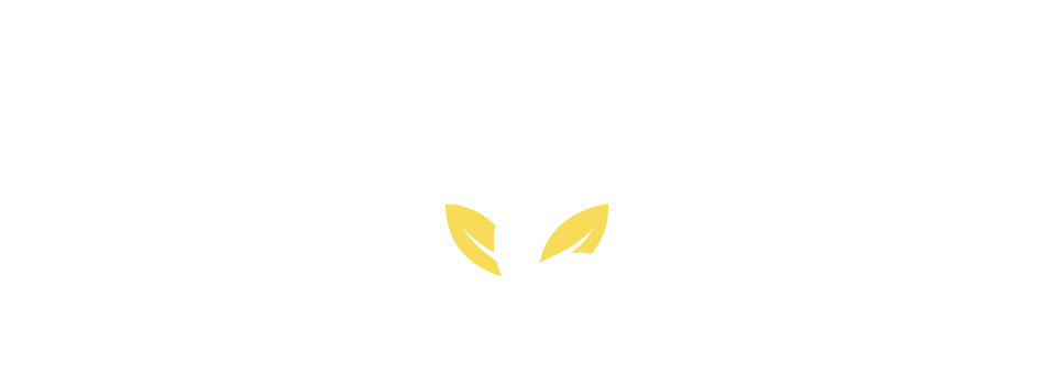 Ανοιχτή Γυναικολογική Χειρουργική | Σύνθετες Εξειδικευμένες Επεμβάσεις